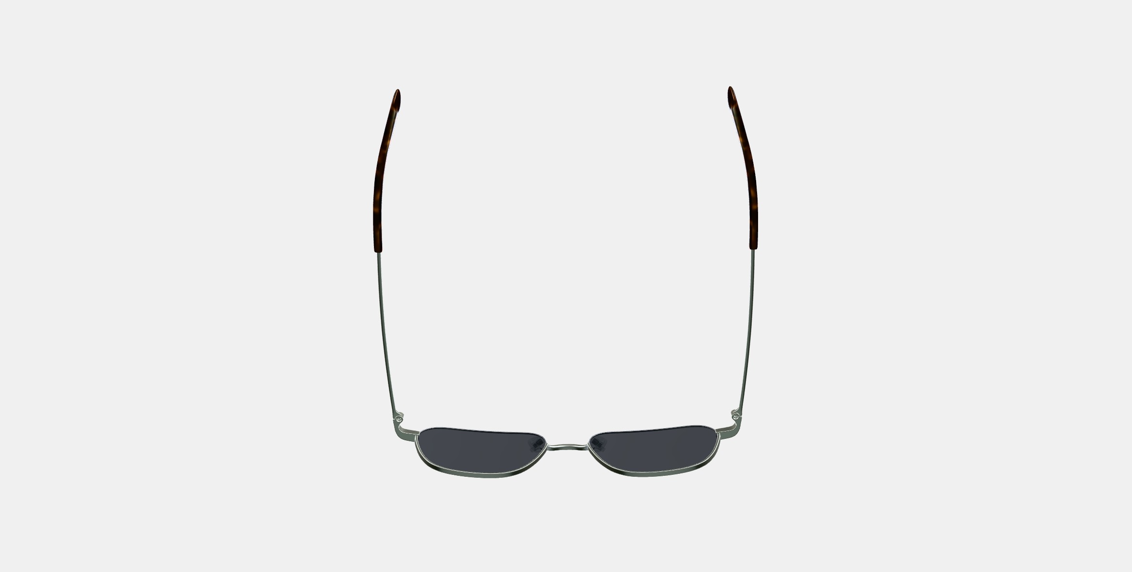 Healey Sunglasses in Polished Silver 3D model_7