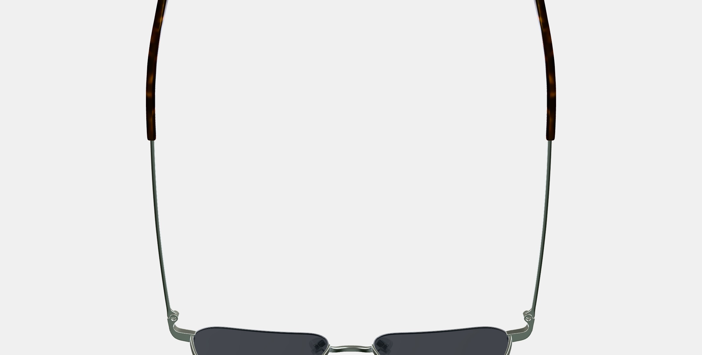 Healey Sunglasses in Polished Silver 3D model_8