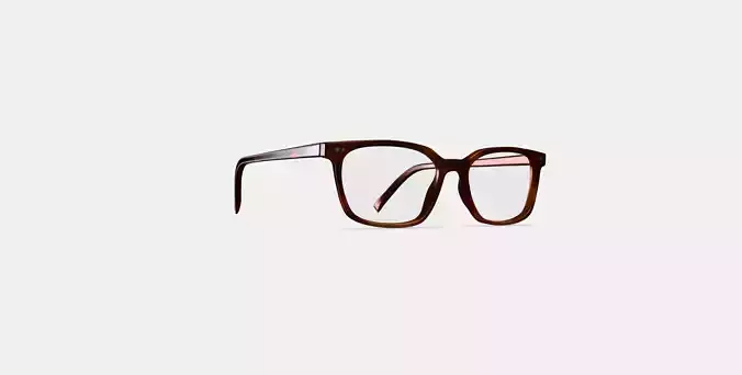 Weathers Eyeglasses in Rye Tortoise