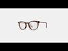 Sadie Eyeglasses in Sesame Tortoise with Polished Gold 3D model_1