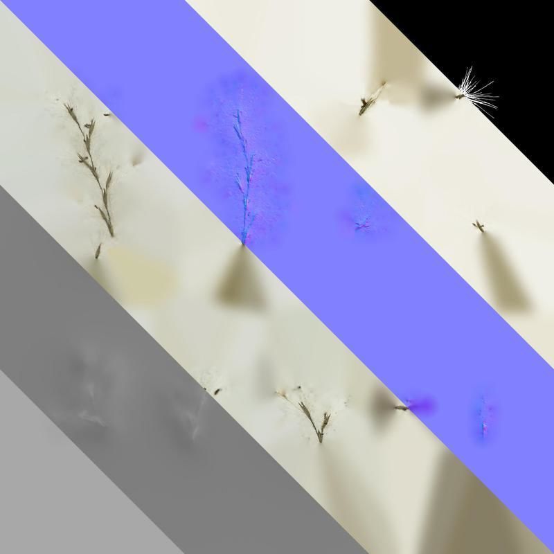 Anydrafts Arundo donax Inflorescence 01 Texture_8