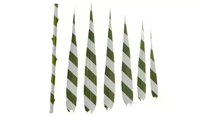 Anydrafts Arundo donax Leaf 09 Texture