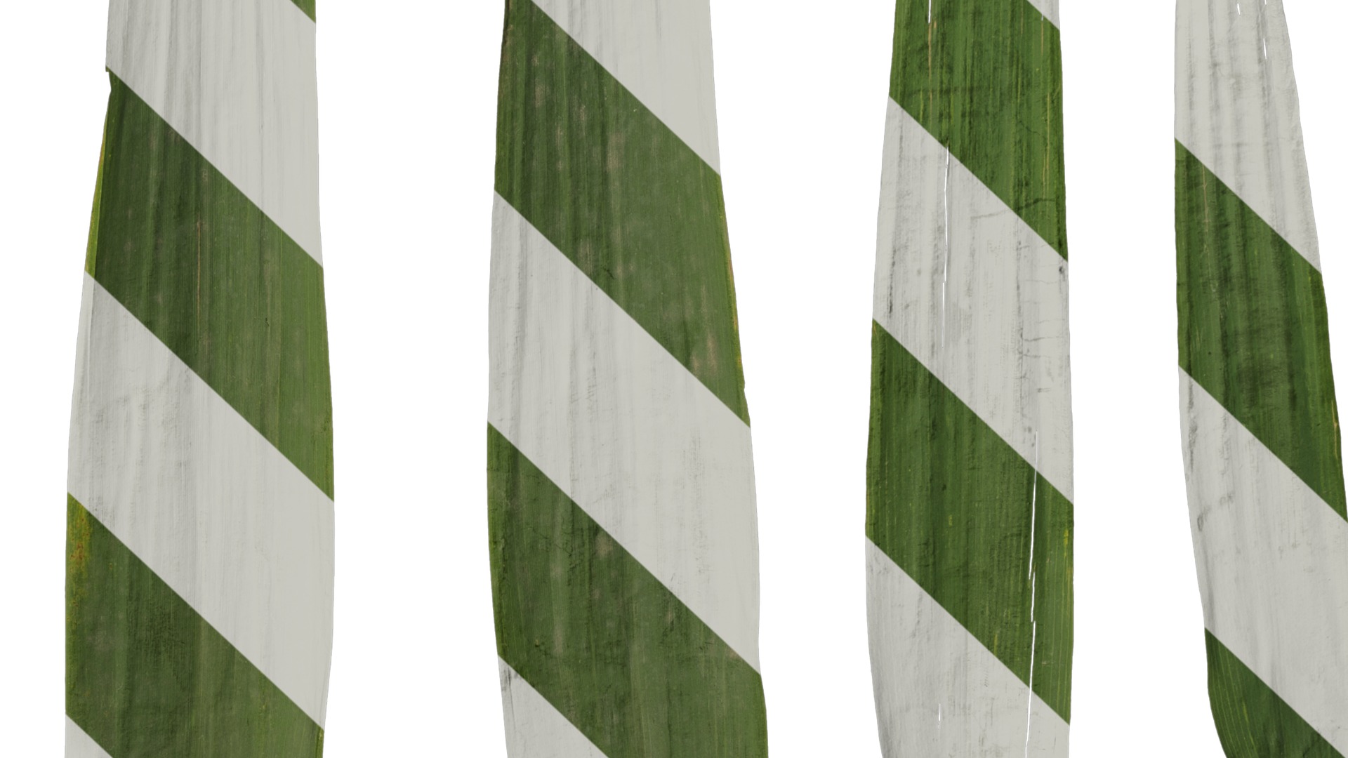 Anydrafts Arundo donax Leaf 09 Texture_6