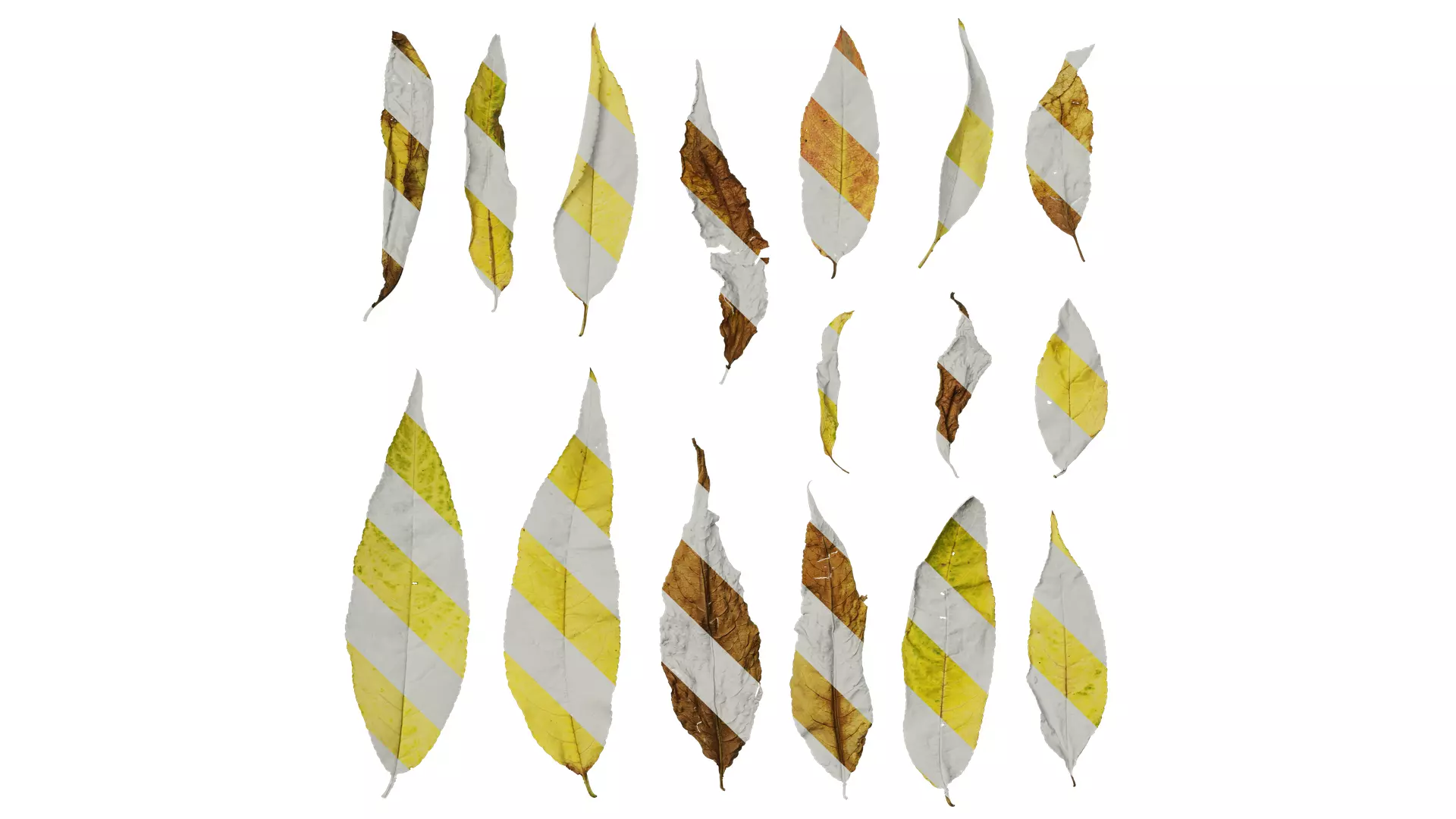 Anydrafts Prunus persica Leaf 02 Texture_0