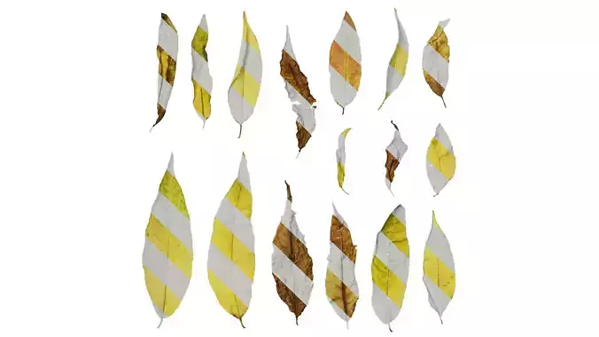 Anydrafts Prunus persica Leaf 02