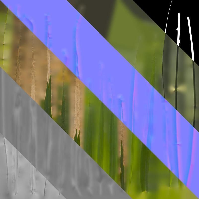 Anydrafts Arundo donax Leaf 13 Texture_8