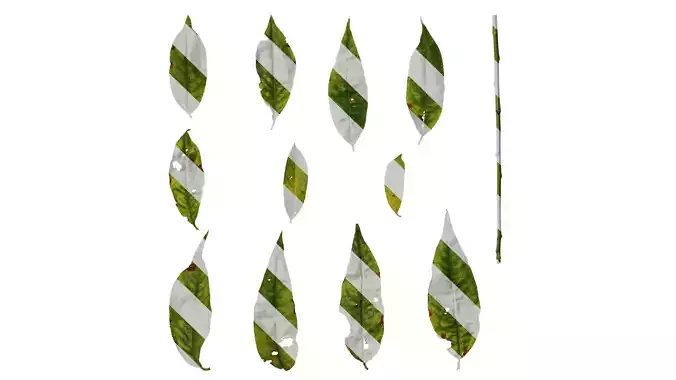 Anydrafts Prunus persica Leaf 03