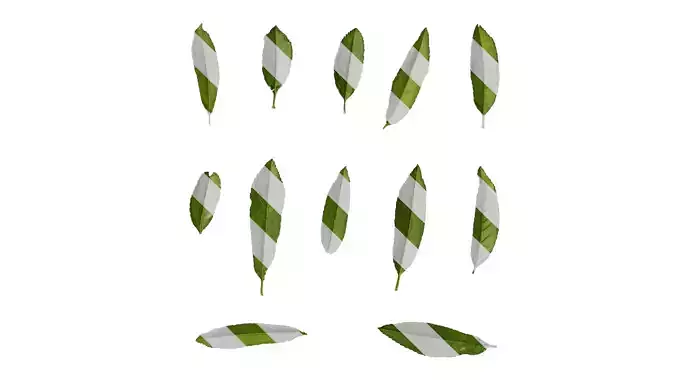 Anydrafts Prunus persica Leaf 07