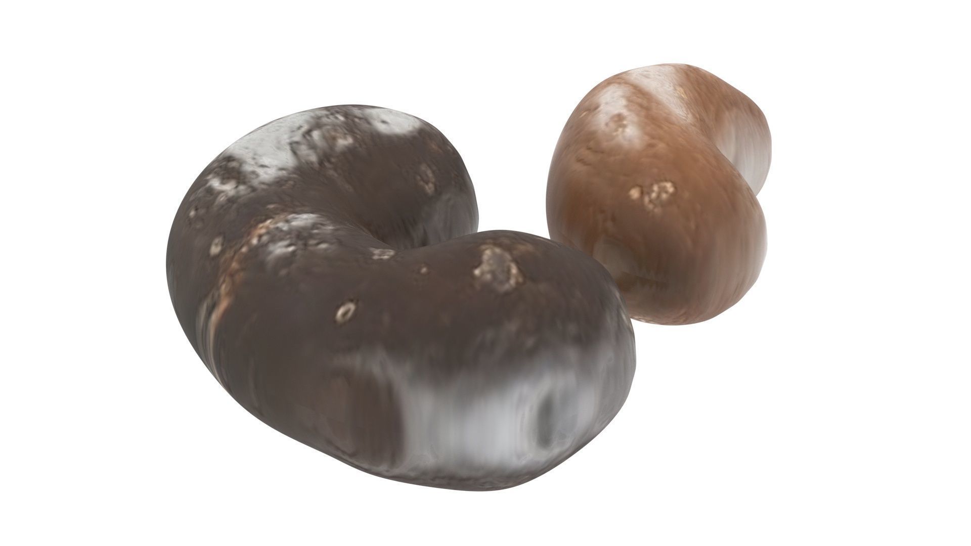 Chocolate Covered Cashews 3D model_13