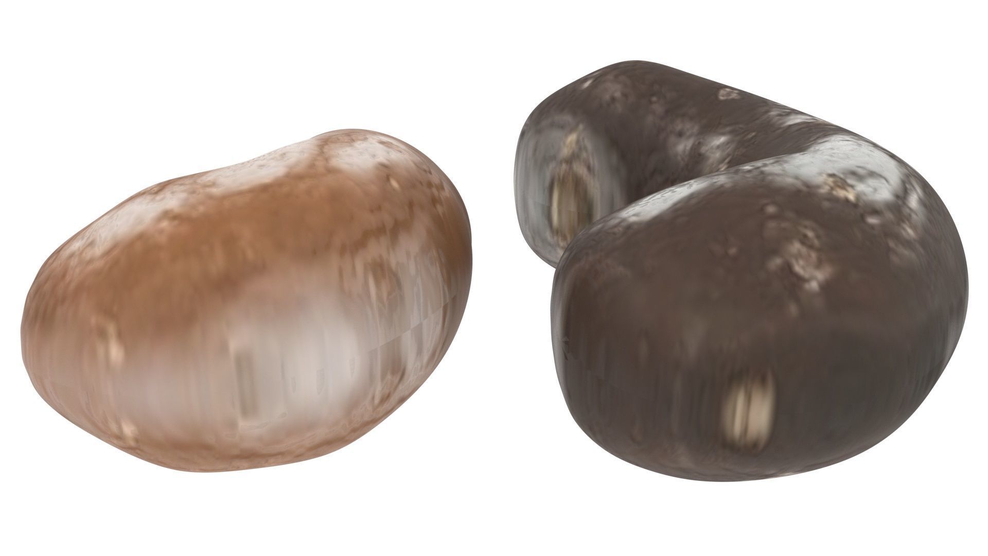 Chocolate Covered Cashews 3D model_10