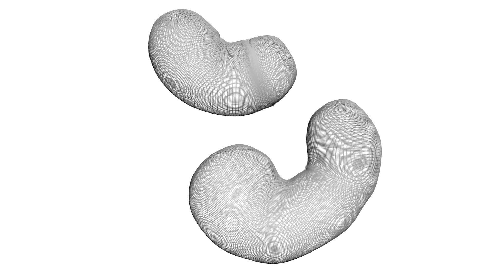 Chocolate Covered Cashews 3D model_23