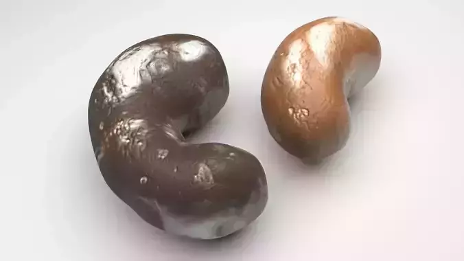 Chocolate Covered Cashews 3D model