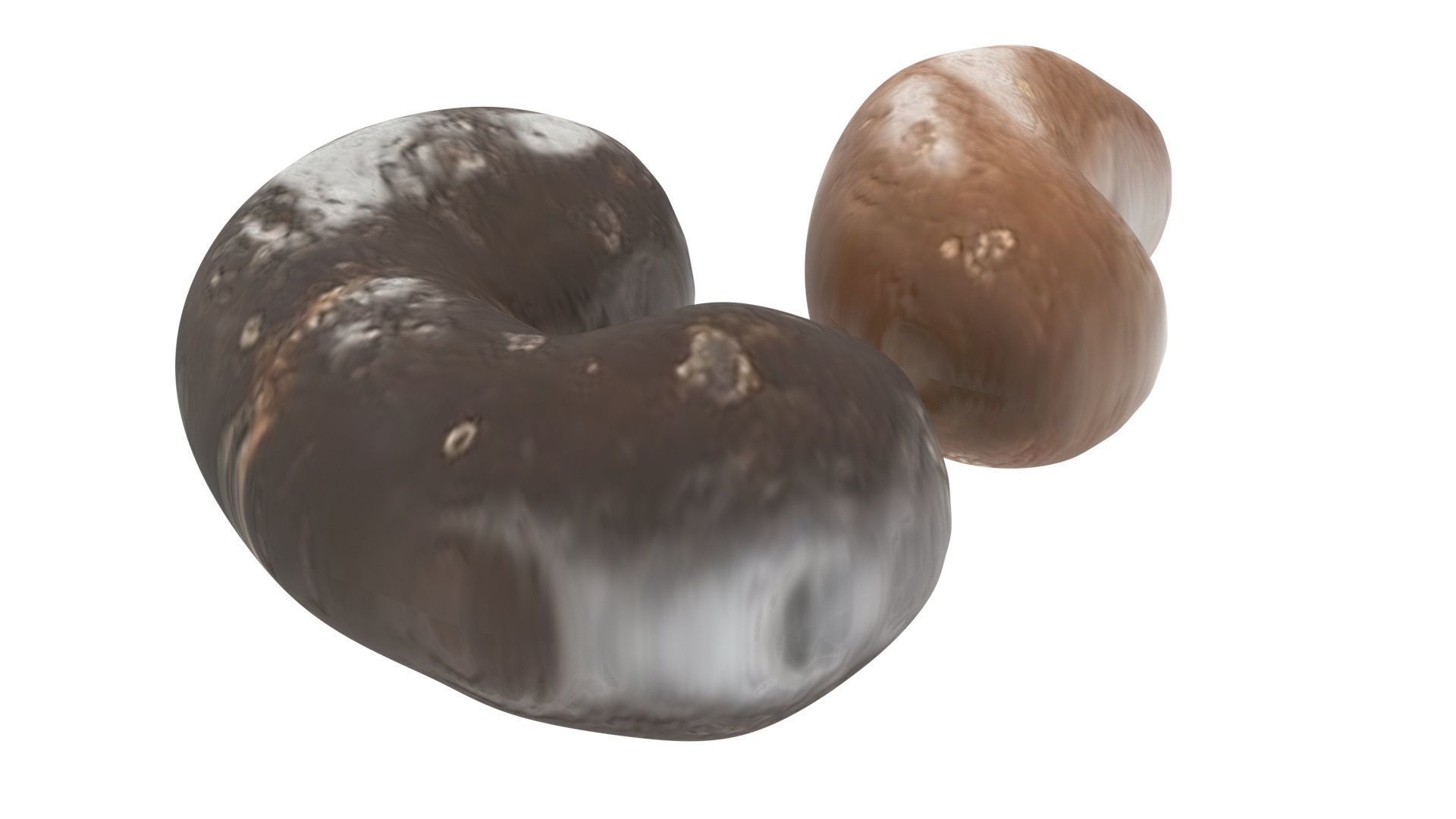 Chocolate Covered Cashews 3D model_8