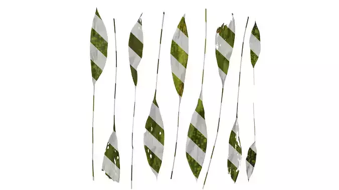 Anydrafts Aspidistra elatior punctata Leaf 04