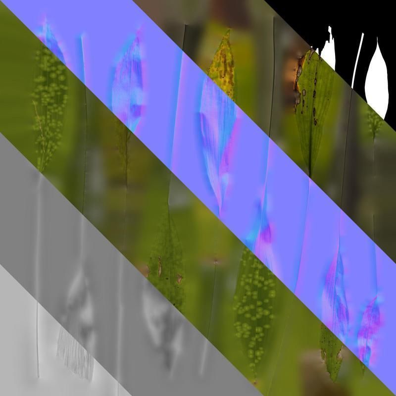 Anydrafts Aspidistra elatior punctata Leaf 04 Texture_8