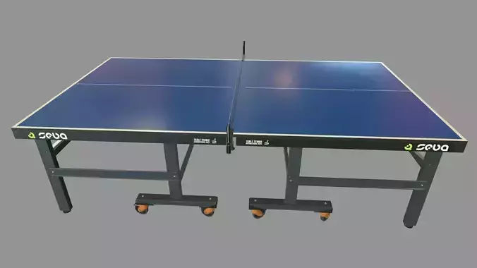 Tennis Table