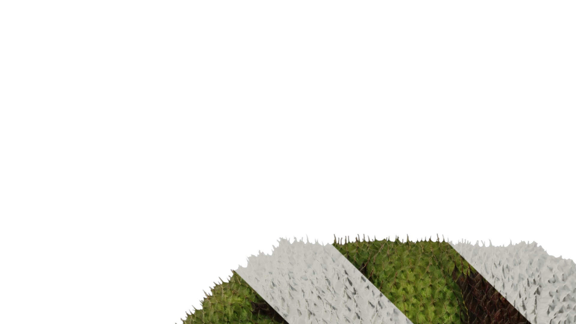 Anydrafts Begonia masoniana Atlas 01 Texture_1