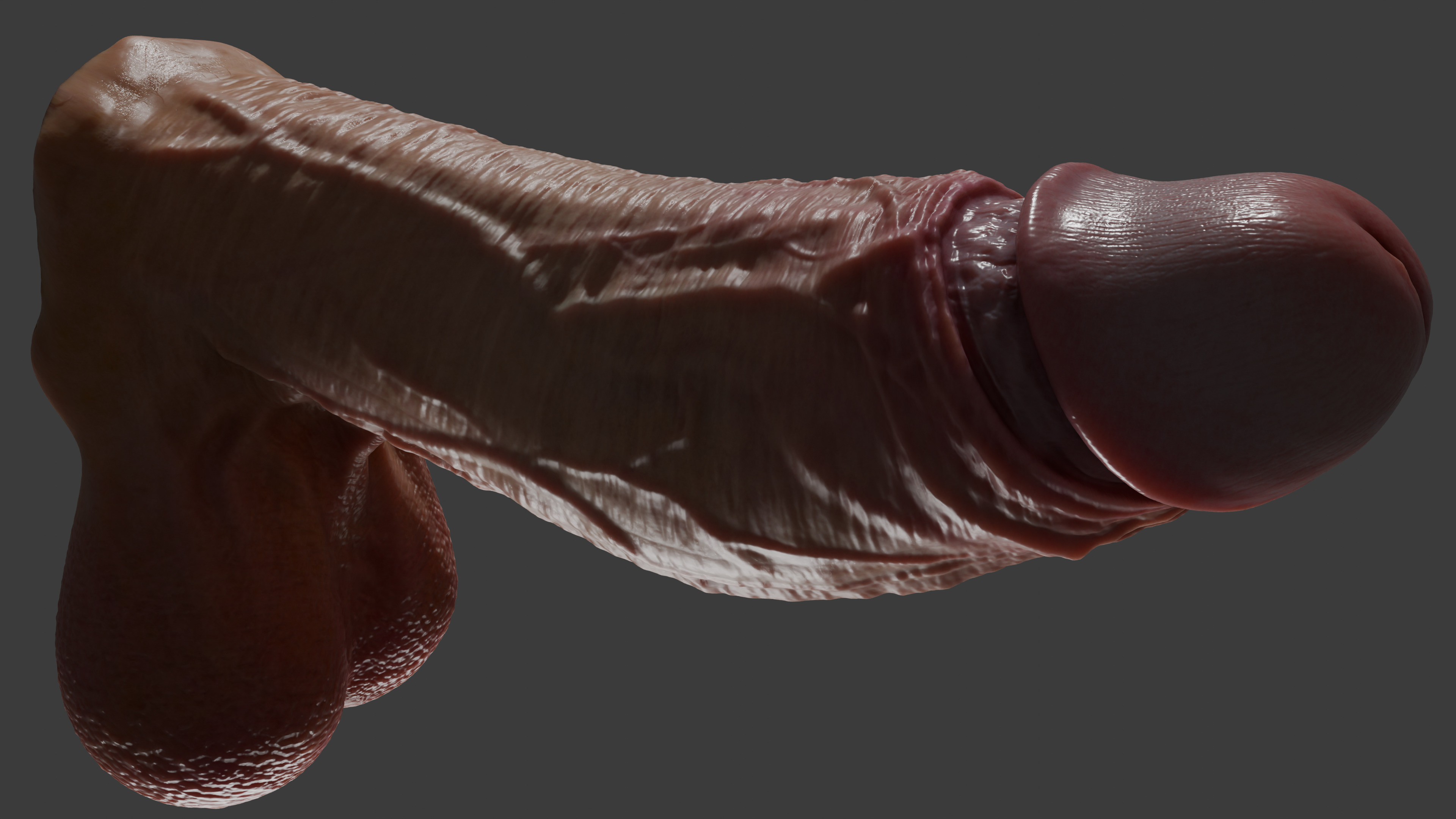 Realistic Penis 2025 Rigged Low-poly 3D model_3