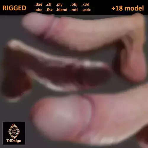 Realistic Penis 2025 Rigged Low-poly 3D model