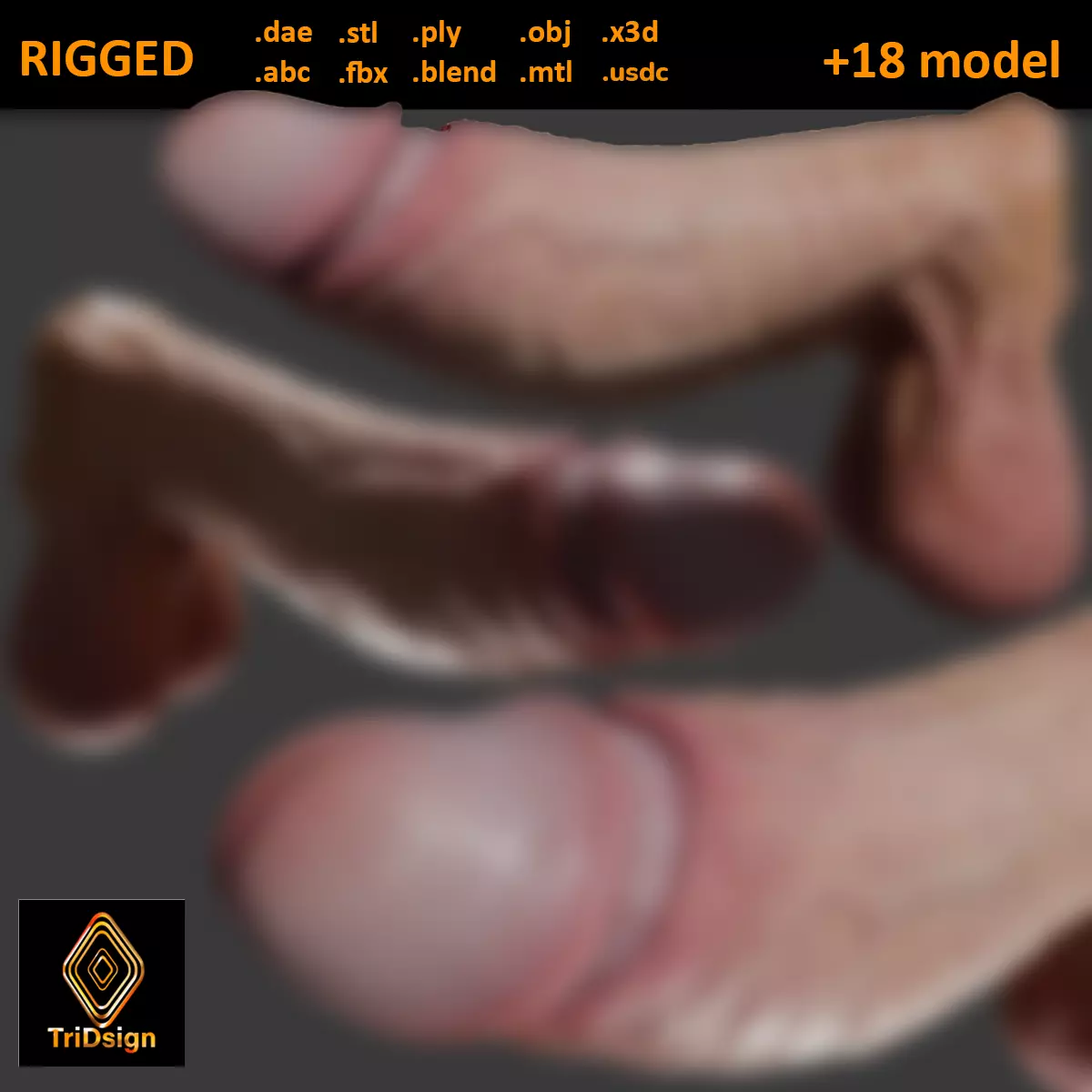 Realistic Penis 2025 Rigged Low-poly 3D model_0