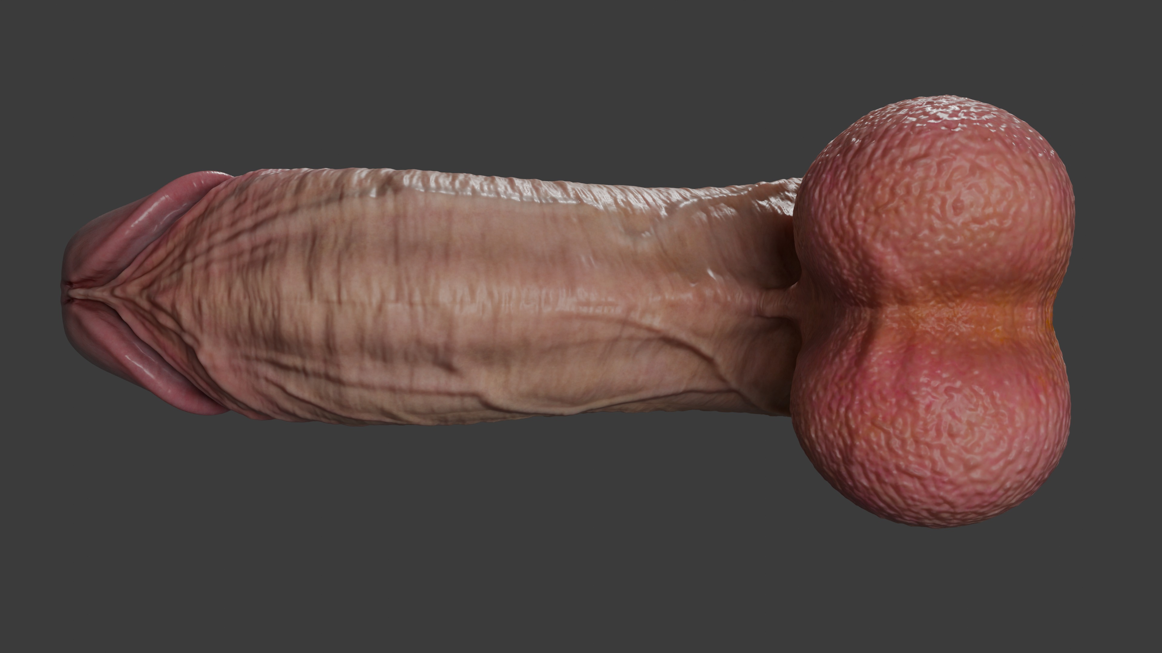 Realistic Penis 2025 Rigged Low-poly 3D model_7