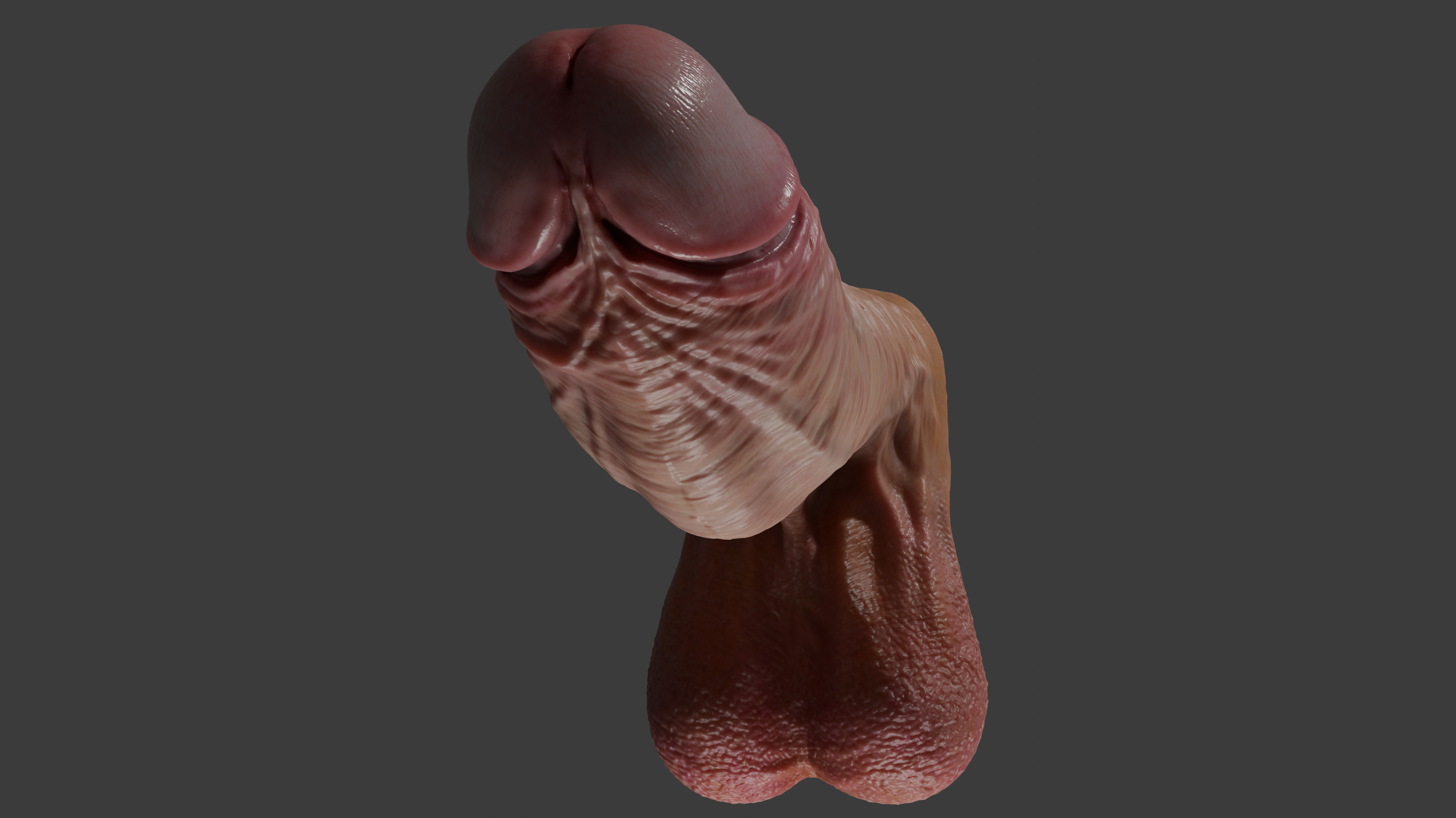 Realistic Penis 2025 Rigged Low-poly 3D model_6