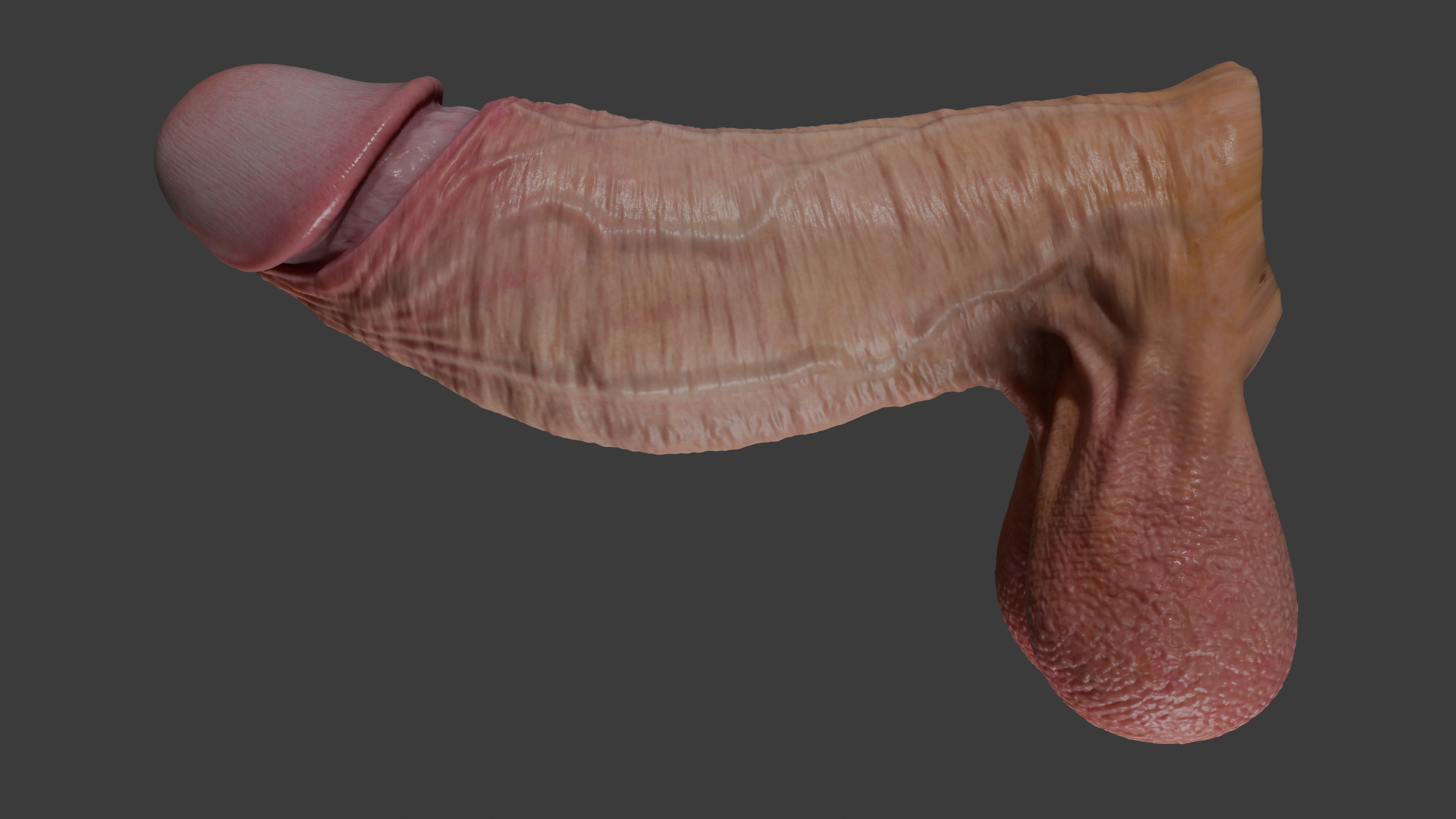 Realistic Penis 2025 Rigged Low-poly 3D model_8