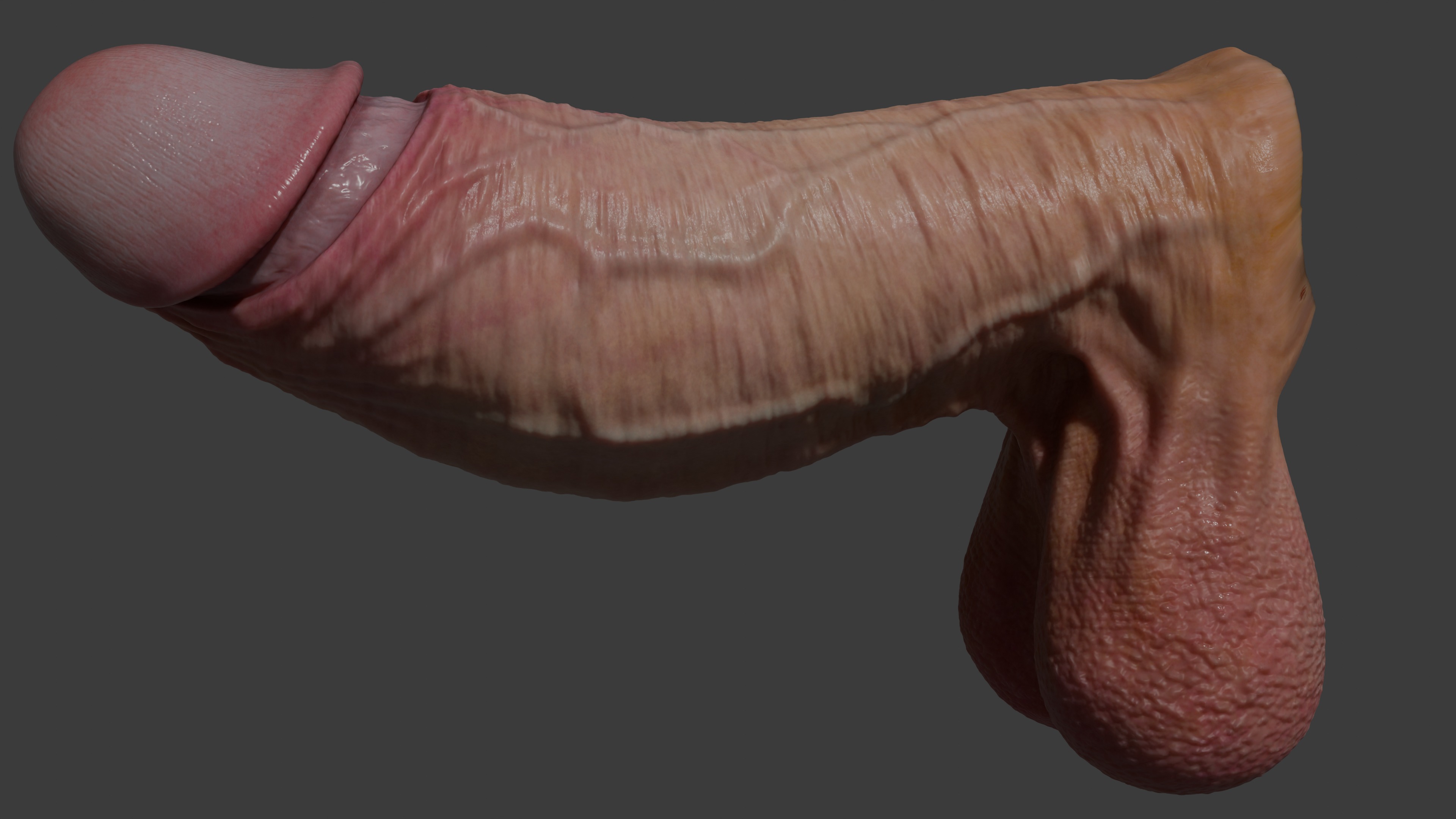 Realistic Penis 2025 Rigged Low-poly 3D model_5