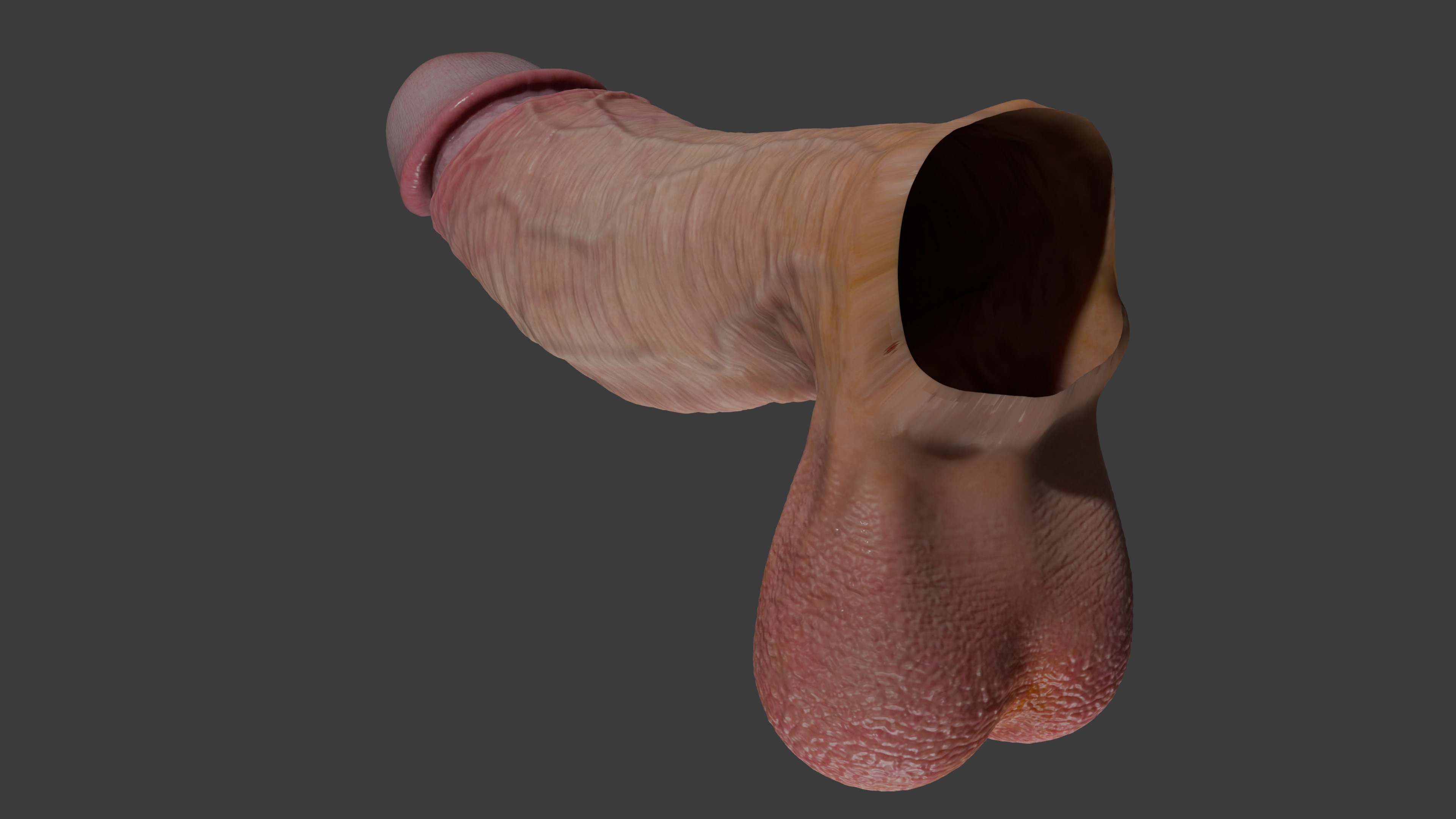 Realistic Penis 2025 Rigged Low-poly 3D model_9