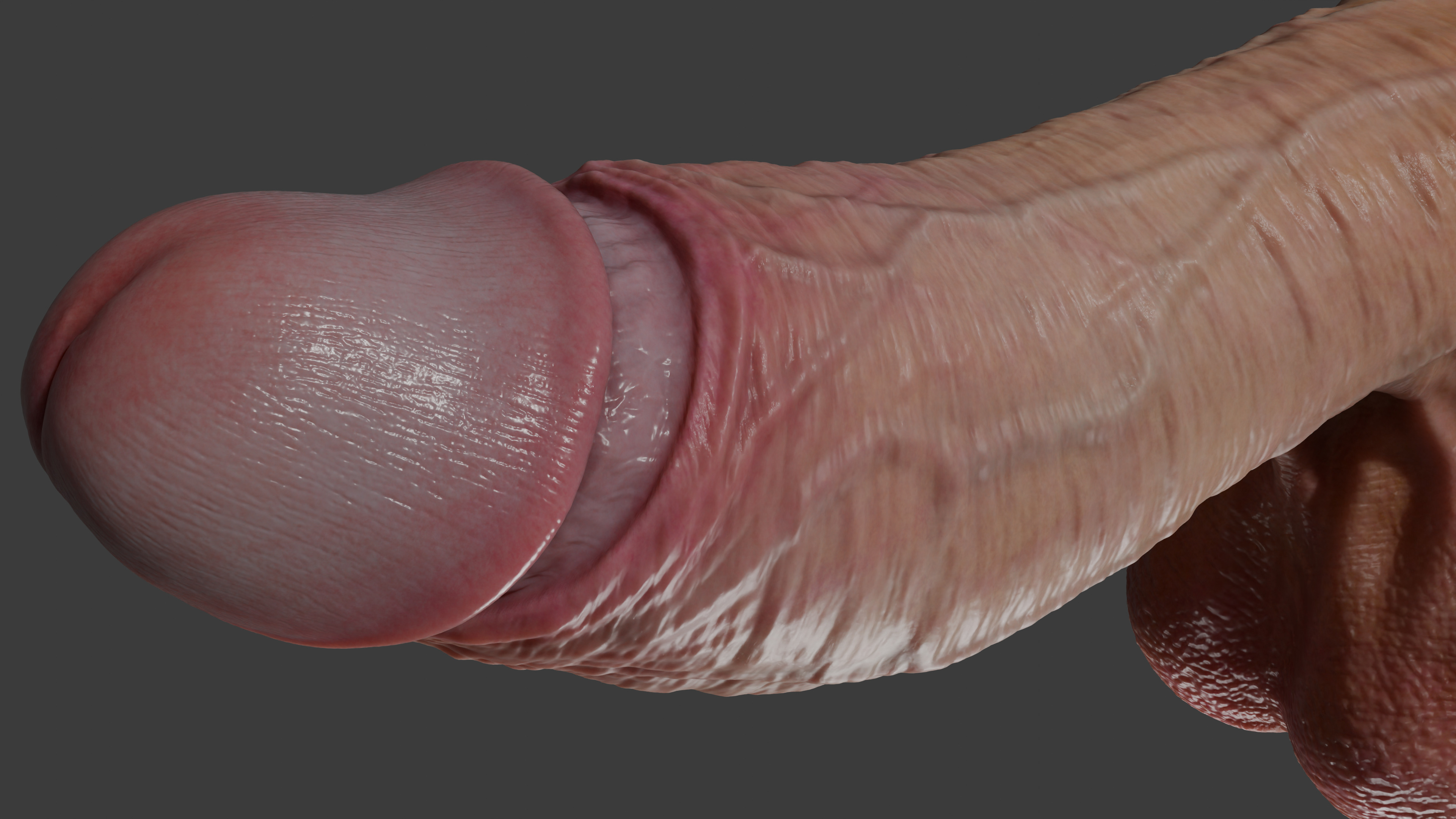 Realistic Penis 2025 Rigged Low-poly 3D model_4