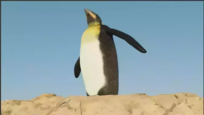 free penguin model Free low-poly 3D model