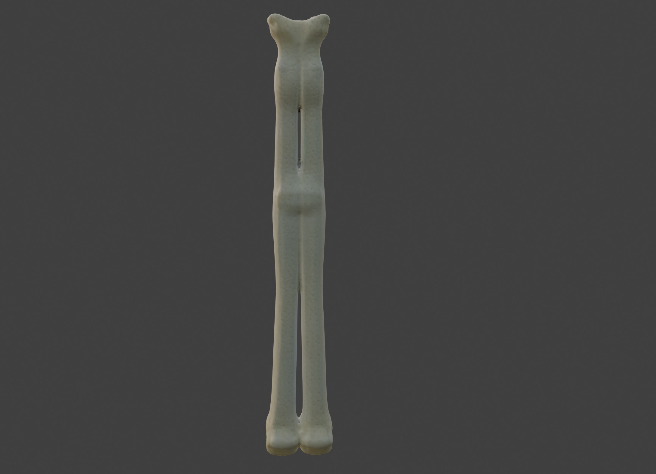 3D Model of Radius Bone 3D print model_6