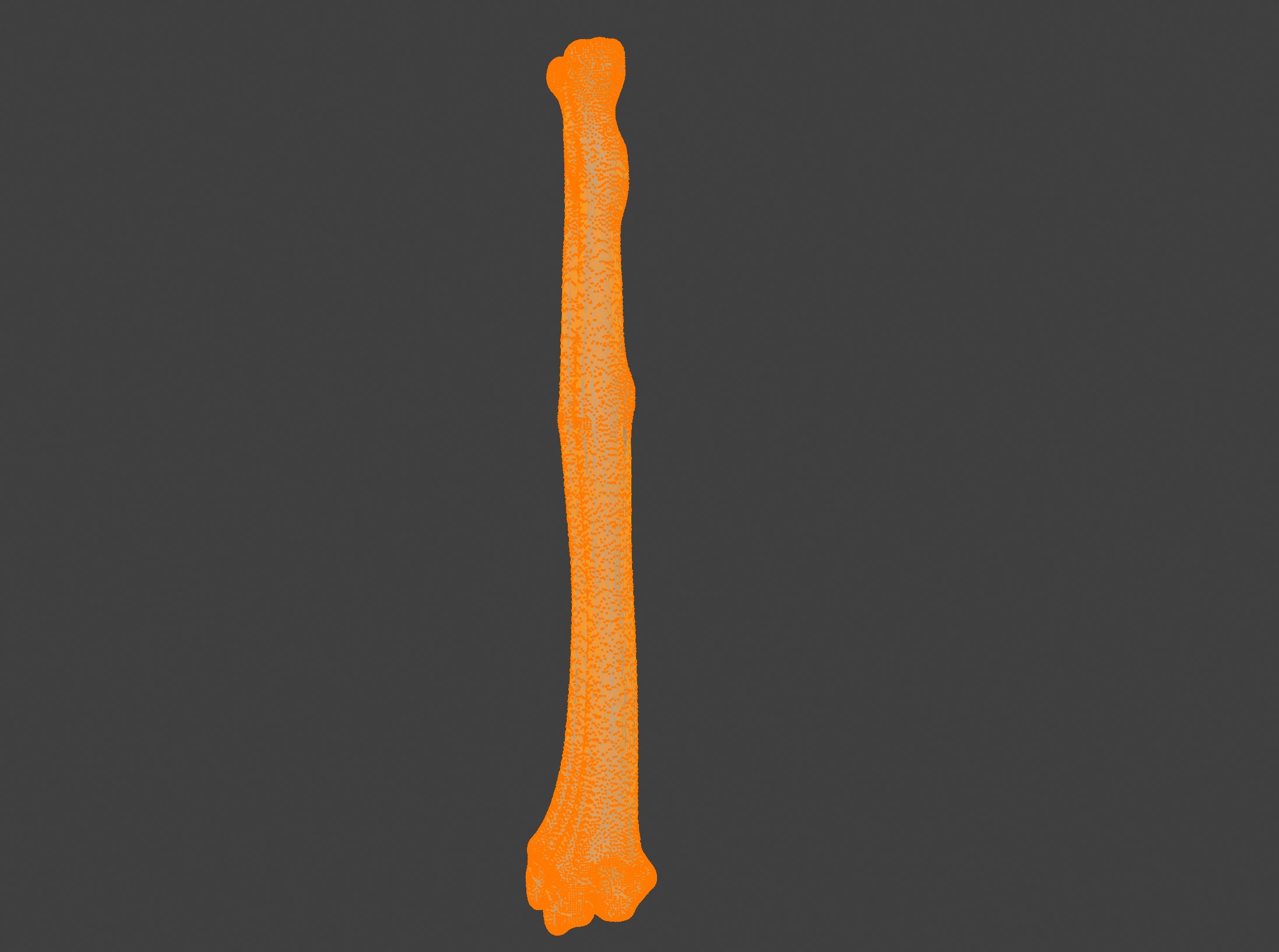 3D Model of Radius Bone 3D print model_7