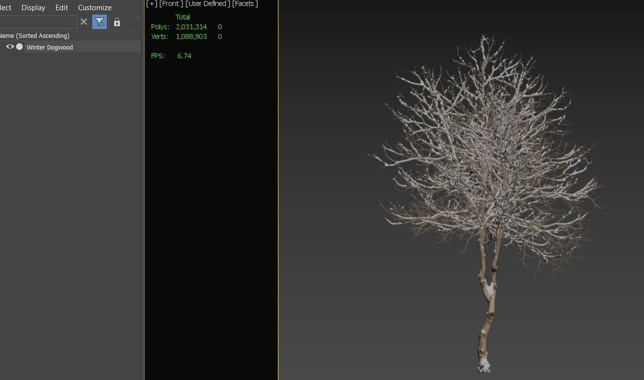 Winter Dogwood tree 3D model_5