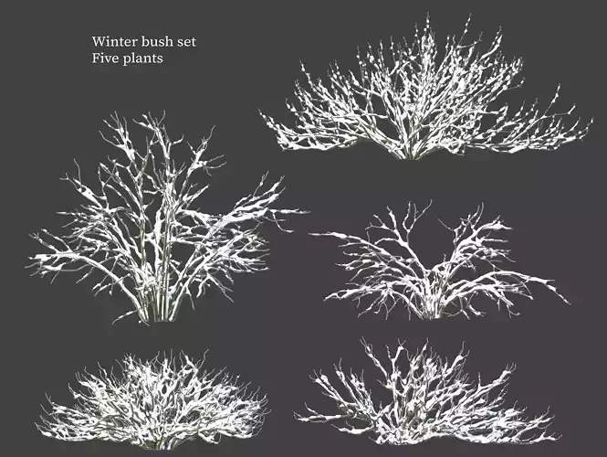 Winter bush set