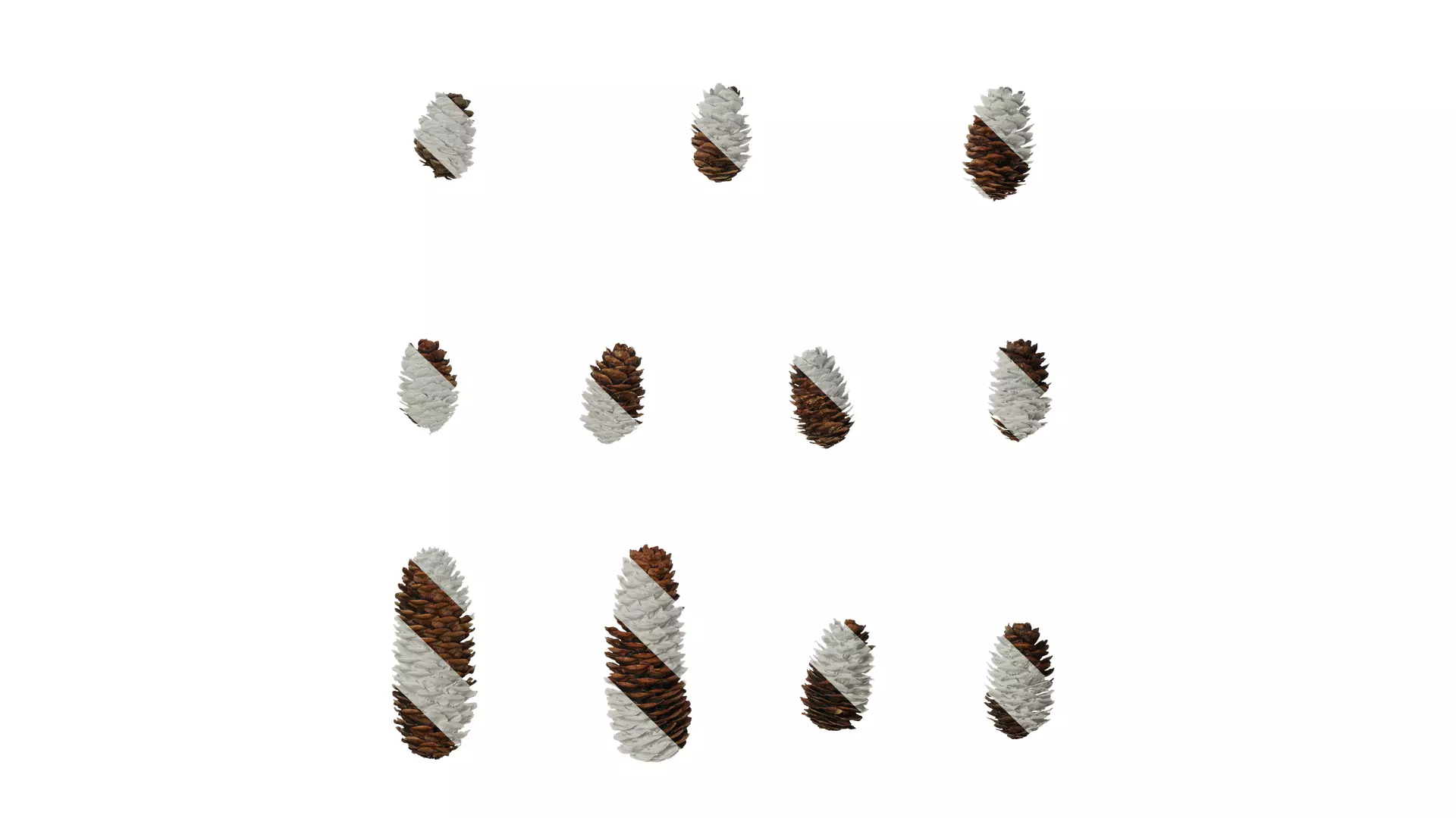 Anydrafts Pseudolarix amabilis Fruit 02 Texture_0