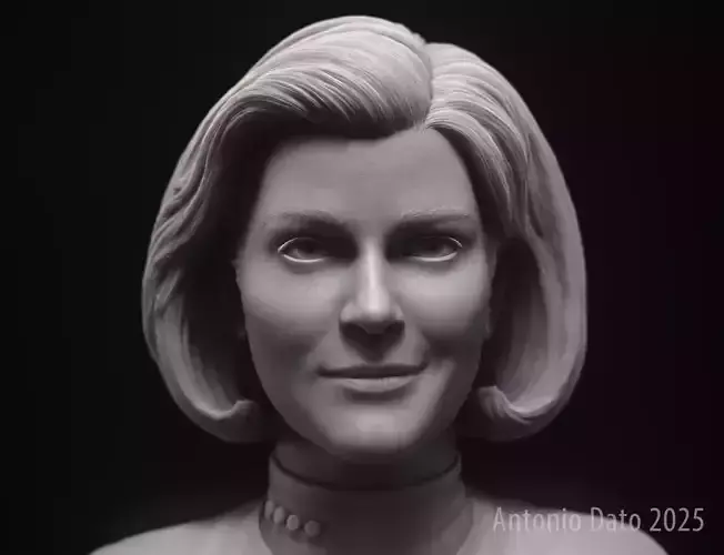 Kate Mulgrew as Kathryn Janeway Bust Printable 3D Model 3D print model