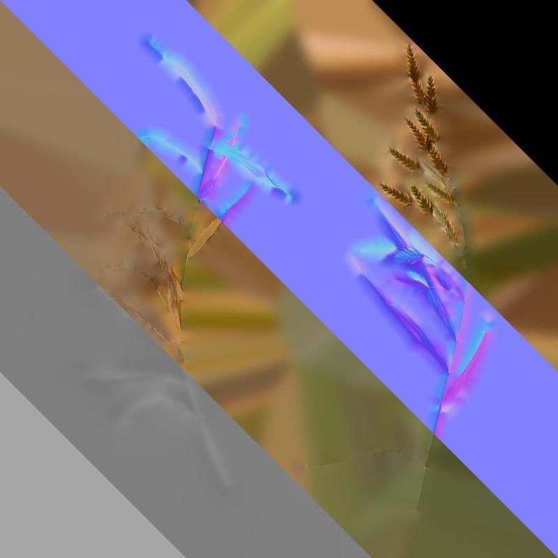 Anydrafts Chasmanthium latifolium Atlas 05 Texture_8