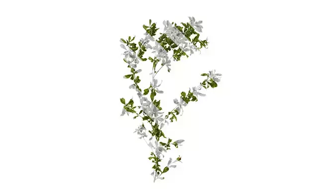 Anydrafts Punica granatum Atlas 08