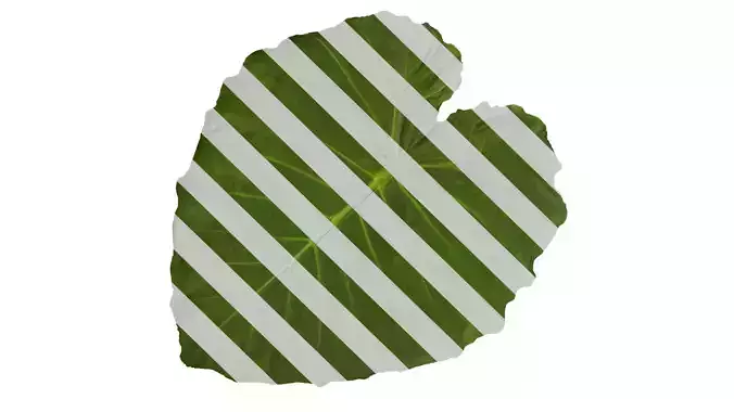 Anydrafts Colocasia gigantea Leaf 01