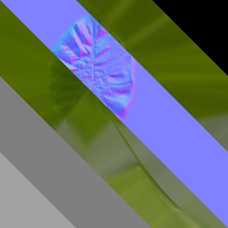 Anydrafts Colocasia gigantea Leaf 02 Texture_8