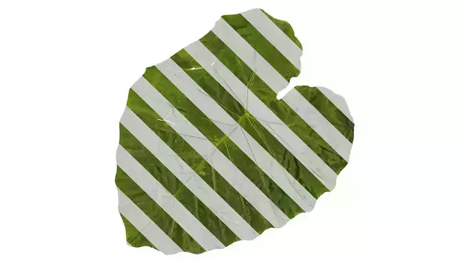 Anydrafts Colocasia gigantea Leaf 05