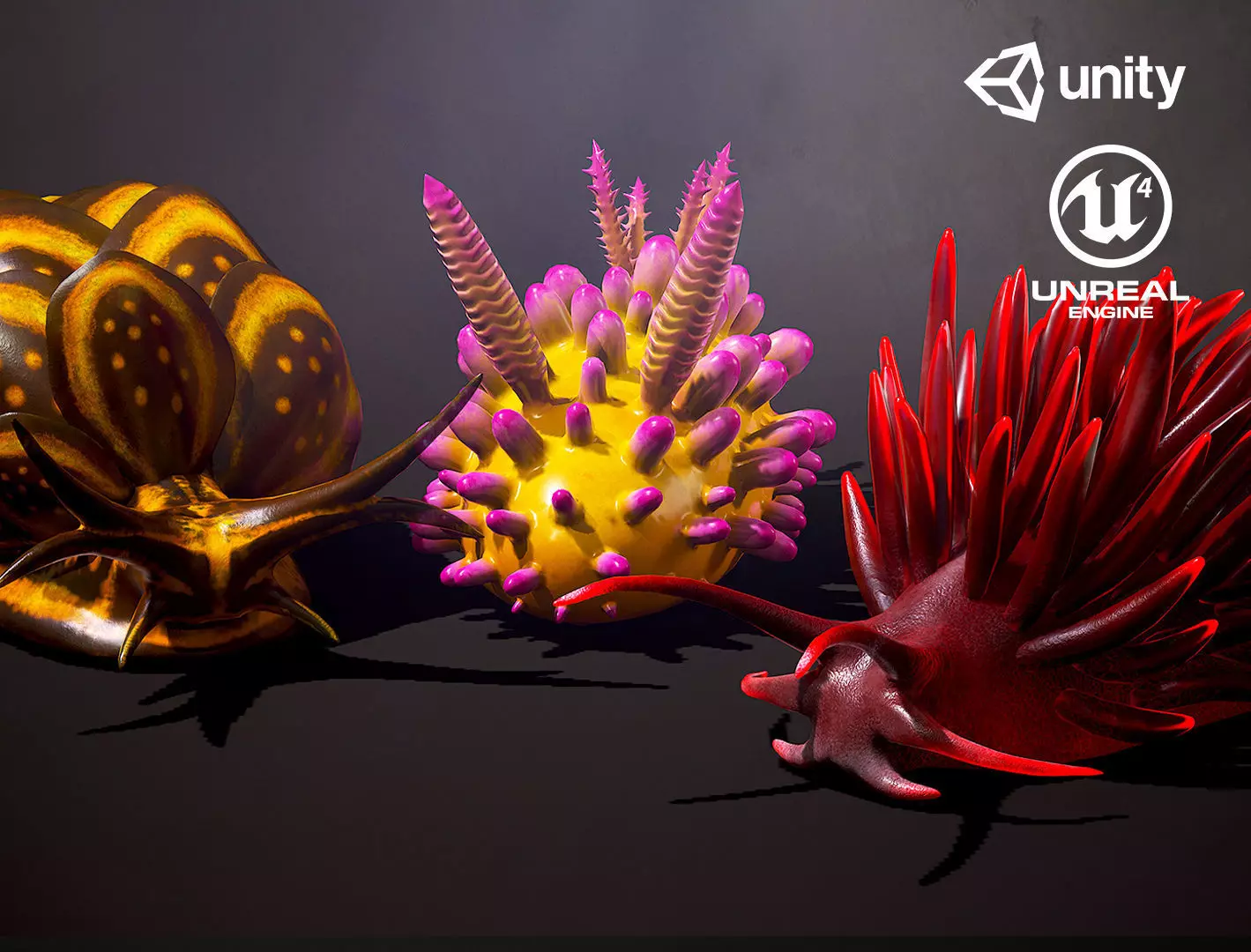 Sea Slugs Pack - Game Ready Low-poly 3D model Low-poly 3D model_0