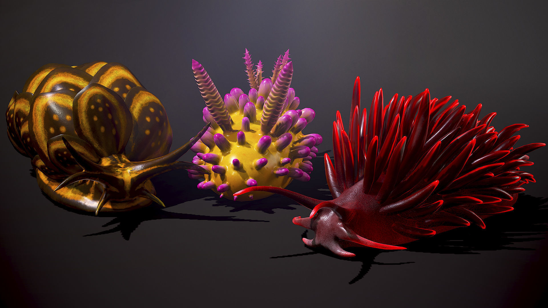 Sea Slugs Pack - Game Ready Low-poly 3D model Low-poly 3D model_5