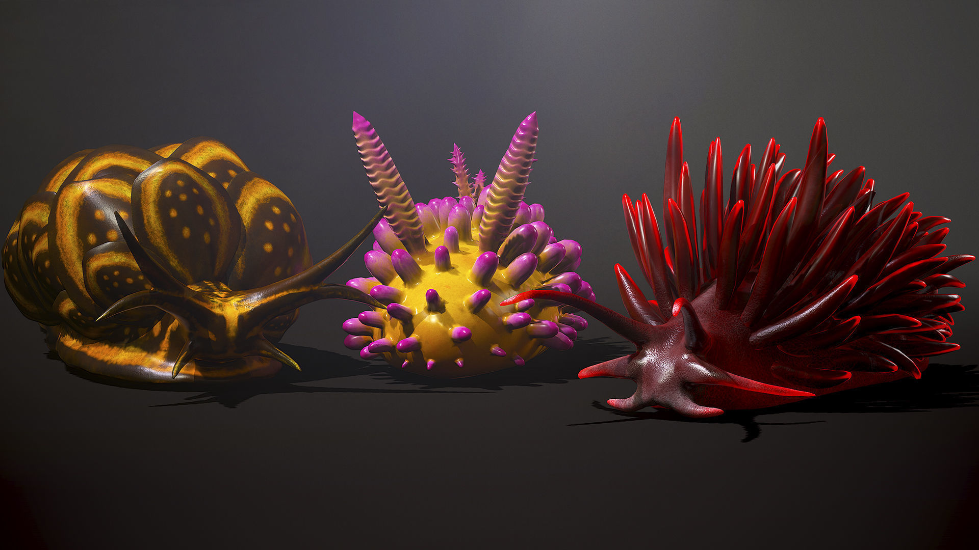 Sea Slugs Pack - Game Ready Low-poly 3D model Low-poly 3D model_4