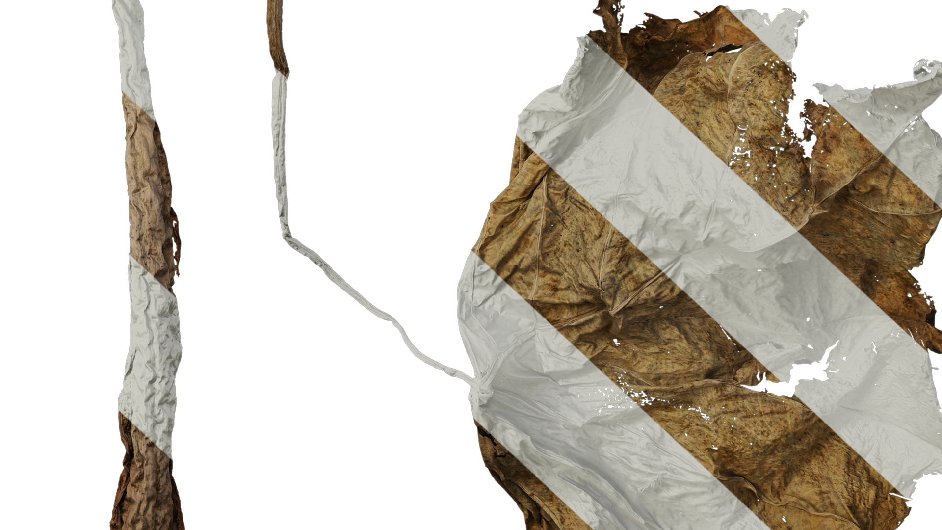 Anydrafts Colocasia gigantea Leaf 06 Texture_6