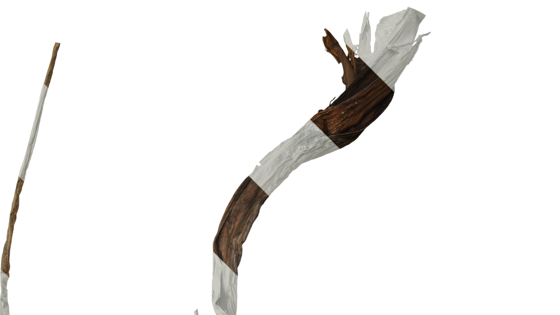 Anydrafts Colocasia gigantea Leaf 06 Texture_2