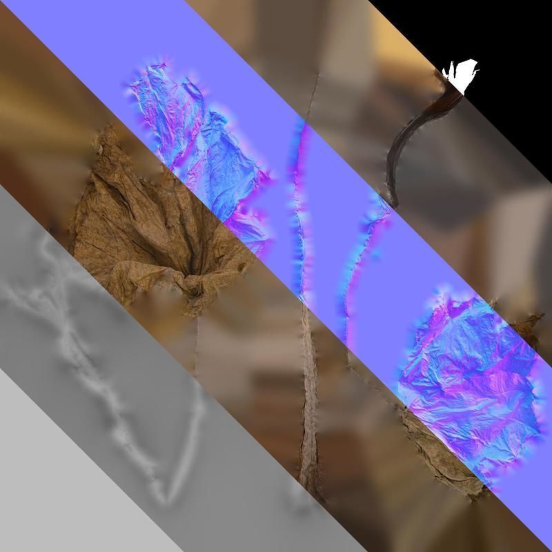 Anydrafts Colocasia gigantea Leaf 06 Texture_8