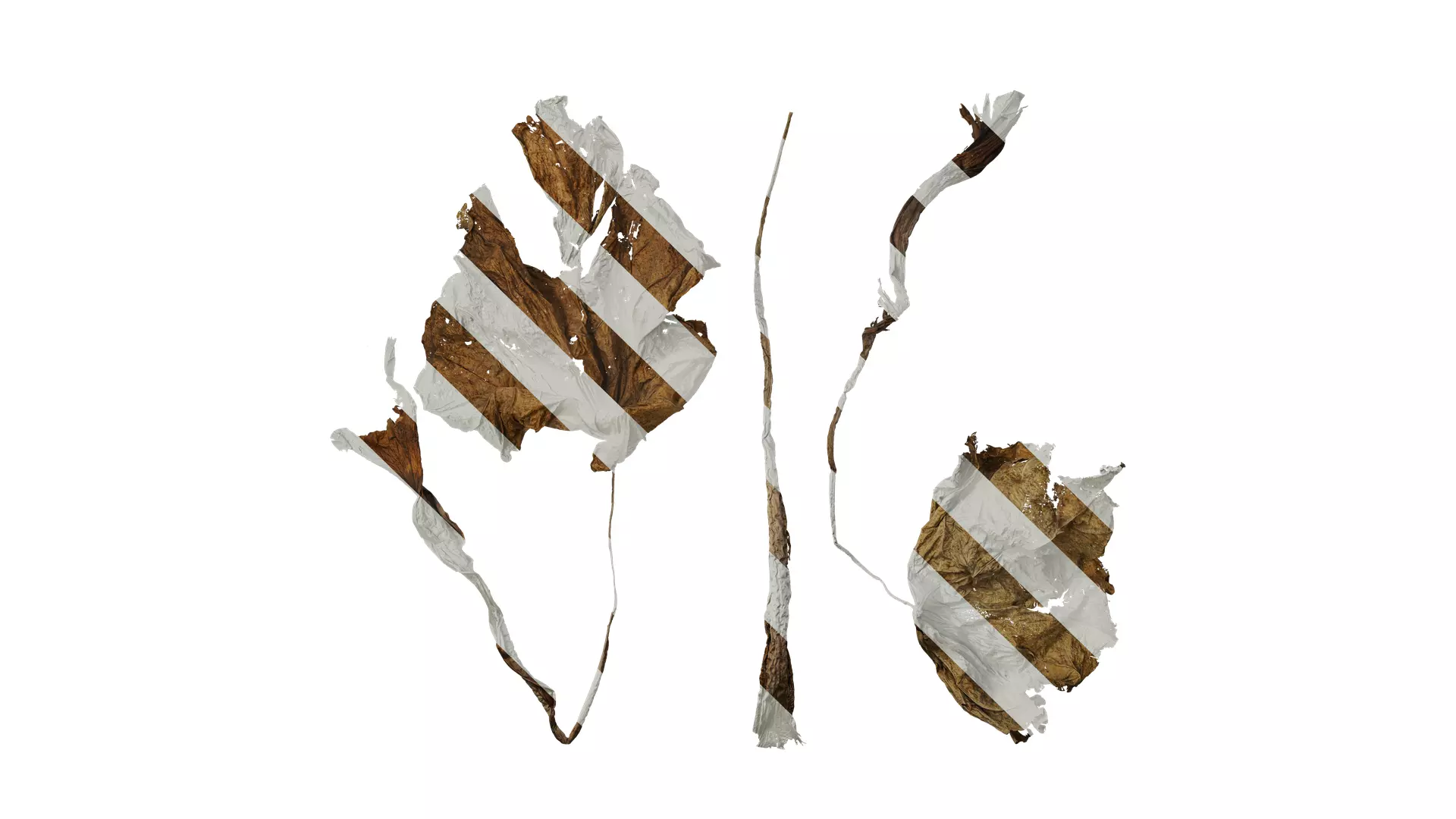 Anydrafts Colocasia gigantea Leaf 06 Texture_0