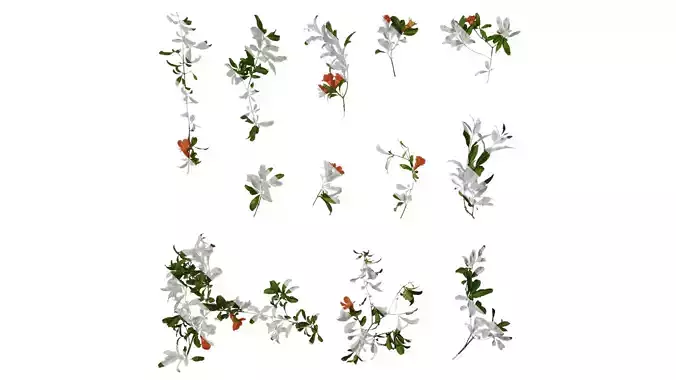 Anydrafts Punica granatum Atlas 19